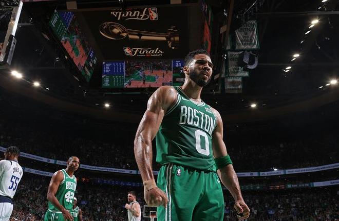 年轻组合的 年轻组合的