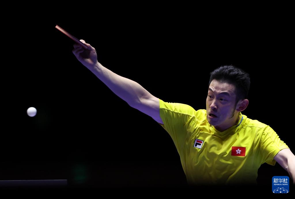 这无疑是对 这无疑是对