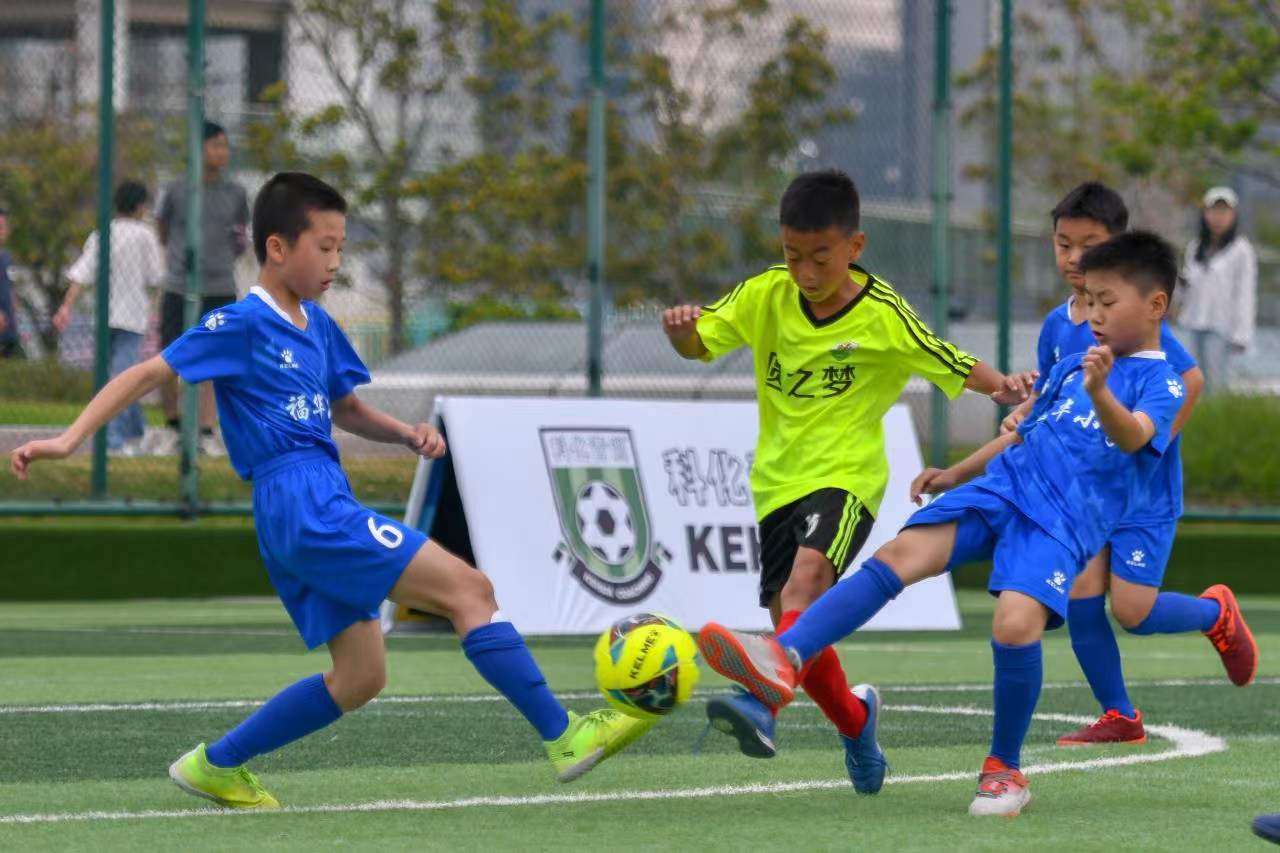 的拉锯战 的拉锯战